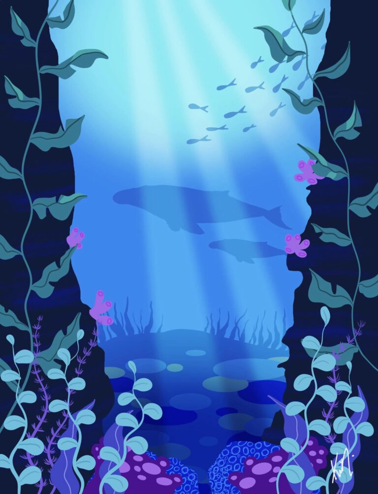 ocean