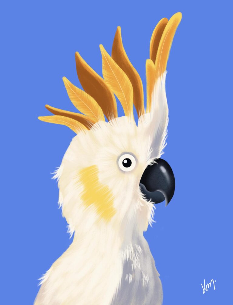 parrot